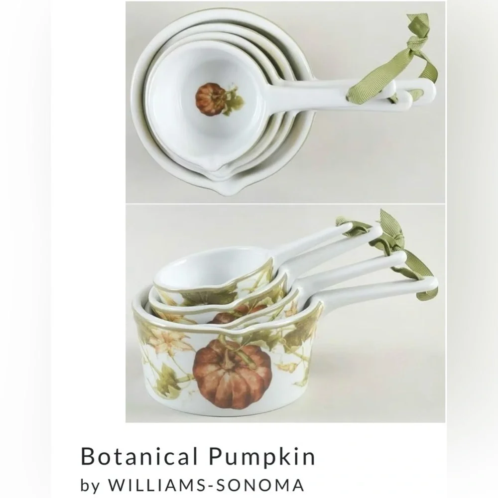 Williams Sonoma Botanical Pumpkin 4 Piece Ceramic Measuring Cup Set